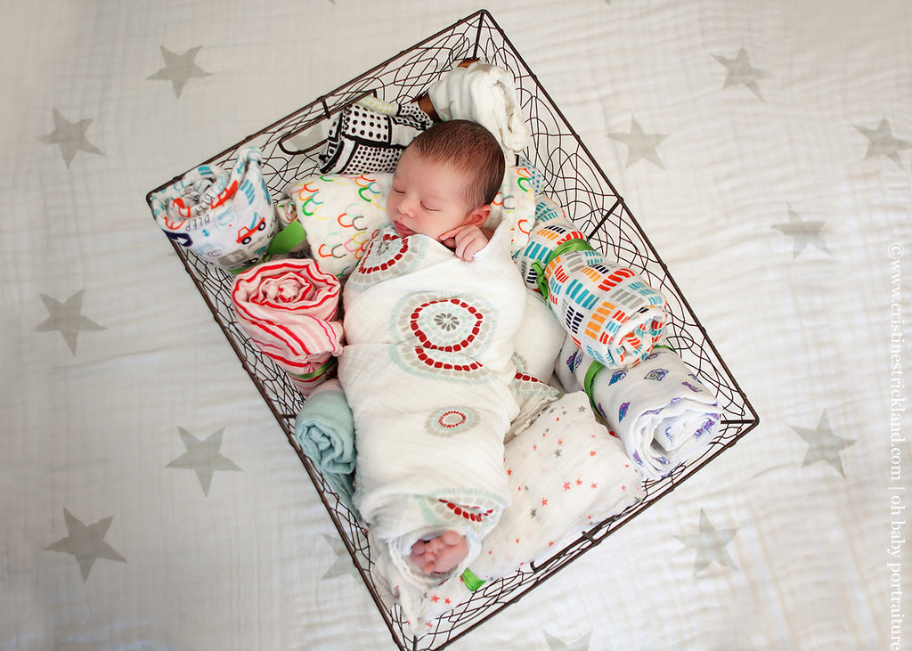 Aden and Anais Swaddle Blankets